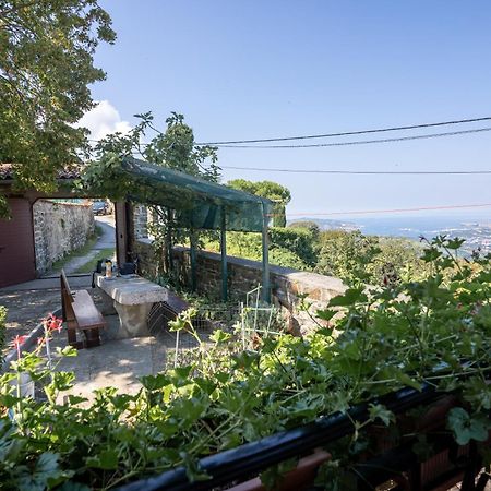 Violet'S Place Črni Kal Εξωτερικό φωτογραφία