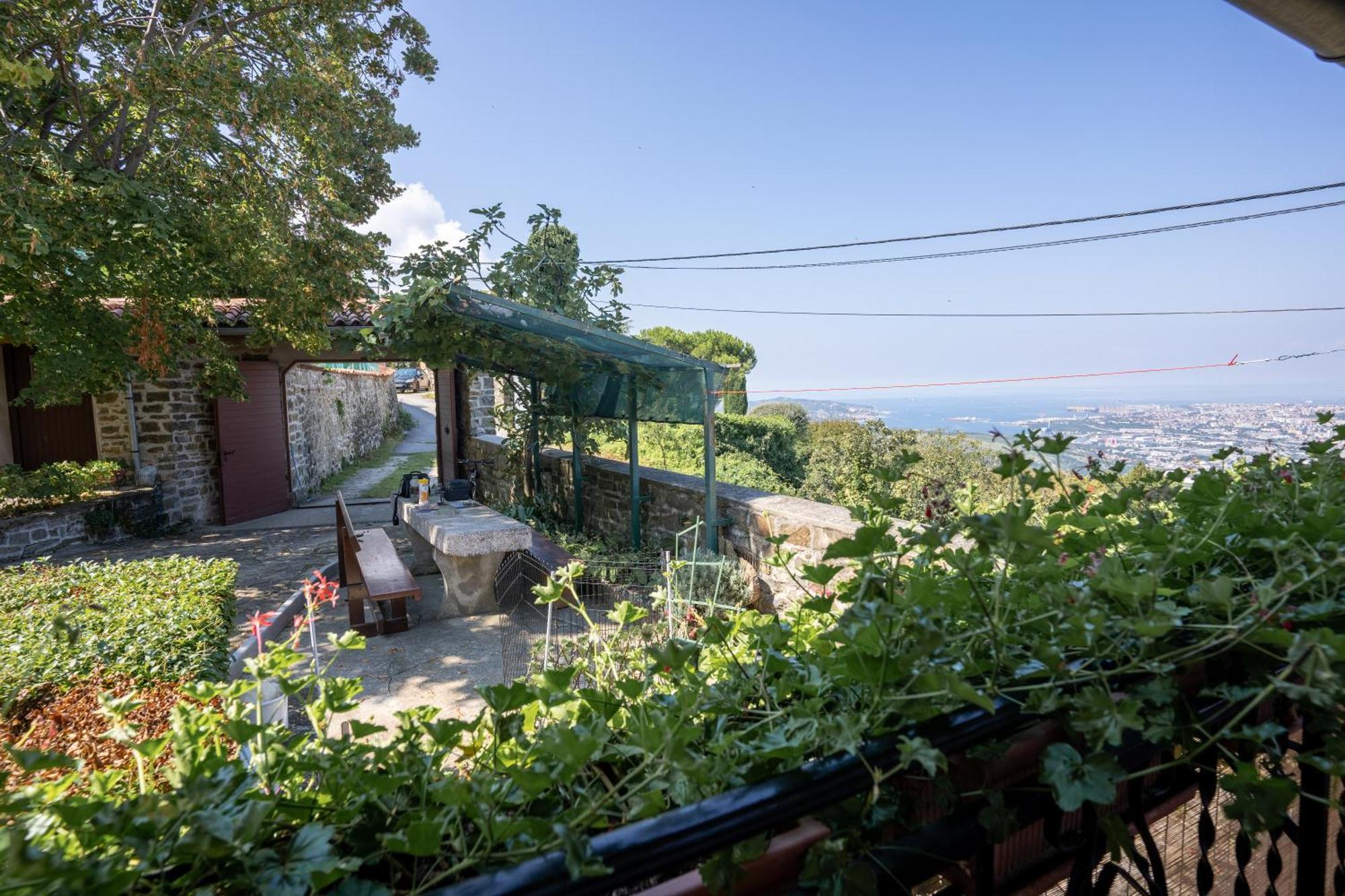 Violet'S Place Črni Kal Εξωτερικό φωτογραφία